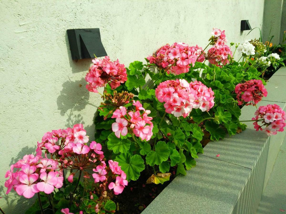 Idyllic Vista Apartment Huduhumpola Ngoại thất bức ảnh